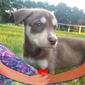 Meet your Posher, Kathy n bill